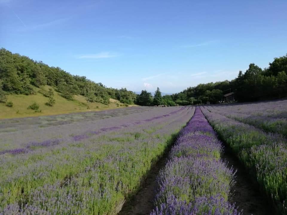 B&B I Girasoli Monte San Pietro Eksteriør bilde